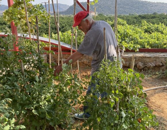 farmer-italy-hudsonwarm