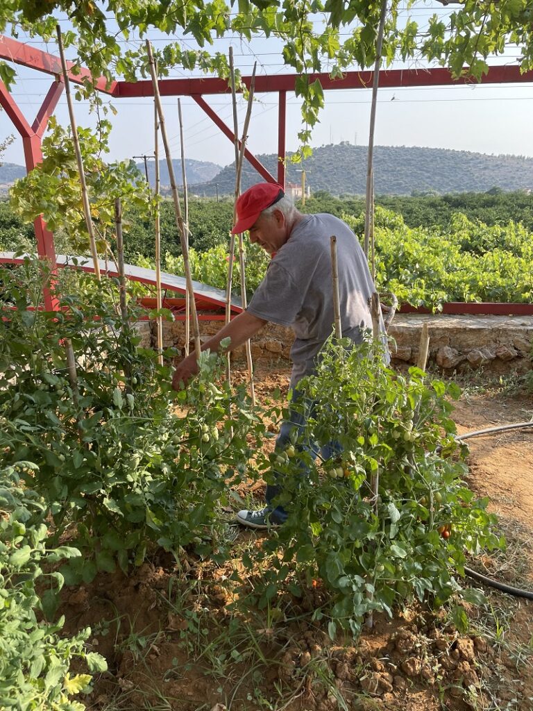 farmer-italy-hudsonwarm