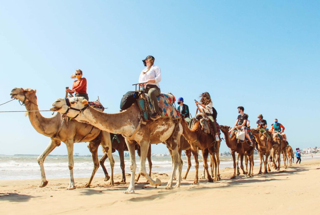 morocco-camel-ride_haileysavage-451