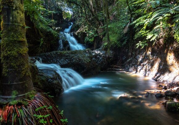 hilo-hawaii-waterfall