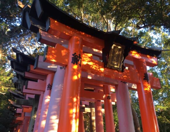 japan-temple-shrine-heatherweas