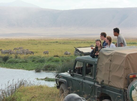 safari-tarangire-national-park-kilimanjaro-cstanb_meaghanferrick-1134