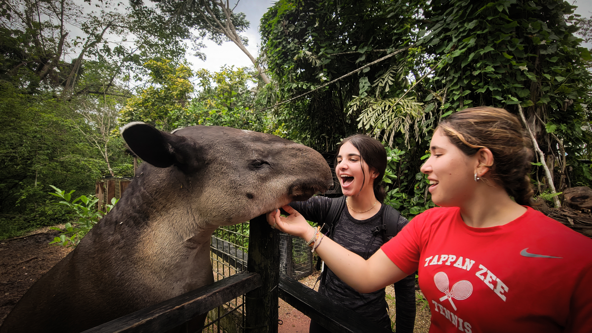 I Belize in a Thing Called Love: Notes from Belize