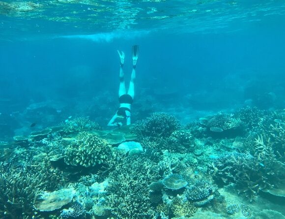 snorkeler-diving-coral-reef-csfijb_andrewsolem-201