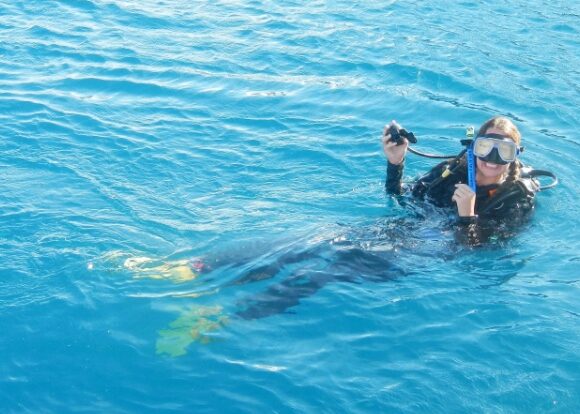 student-snorkeling-hawaii