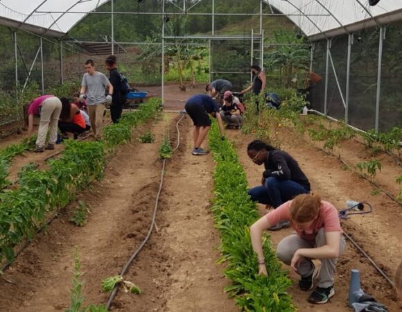 students-volunteer-world-central-kitchen-puerto-rico