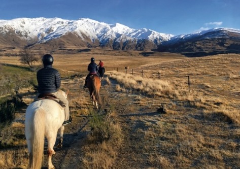 horseback-riding-new-zealand