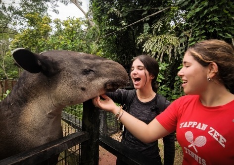 students-interacting-with-tapir-in-belize