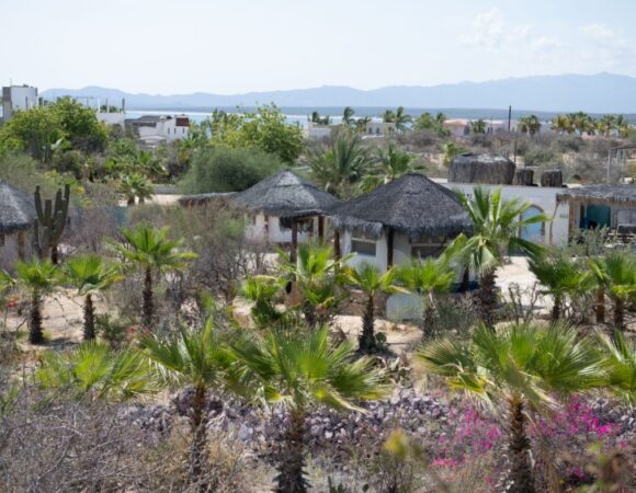 aerial-view-baja