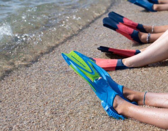 colorful-fins-on-beach