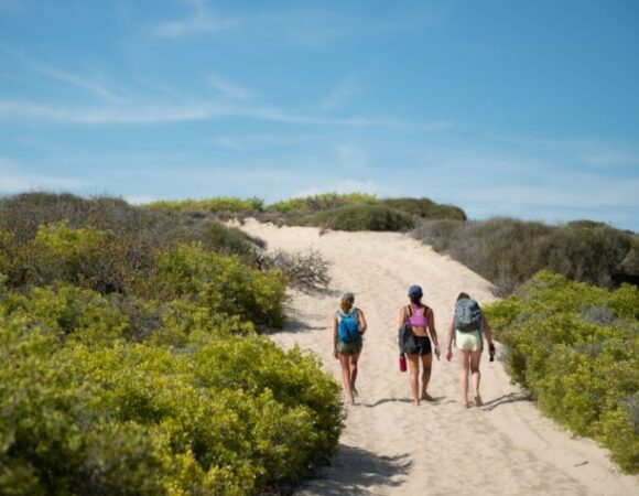 students-walking-baja-sandy-path