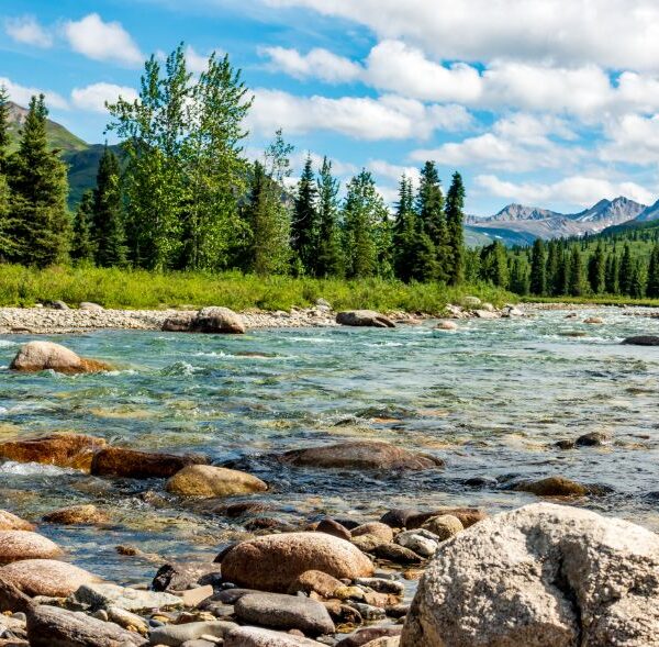 alaska-talkeetna-stream