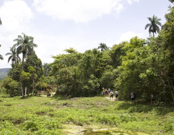 trekking in the green countryside