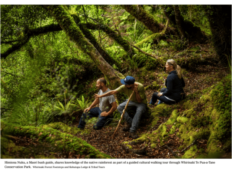 three people hiking in forest