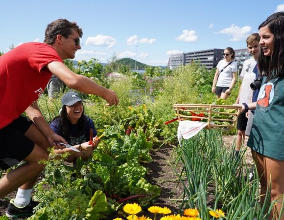 5students-garden-norway-ngnor