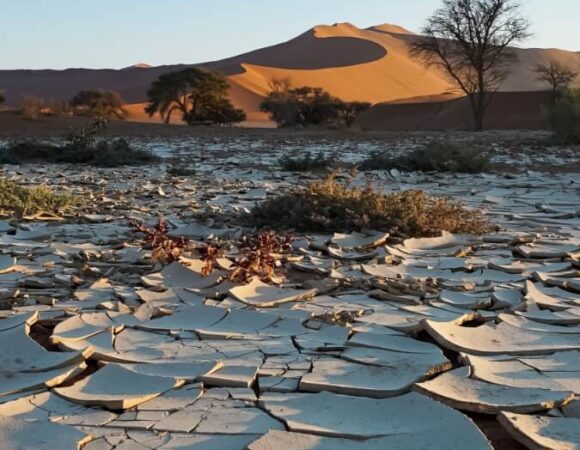 mudcracks-namibia-desert