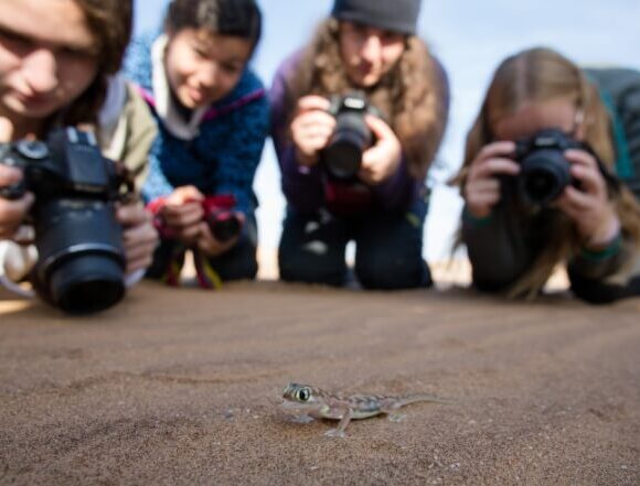 students-photographing-small-lizard-namibia